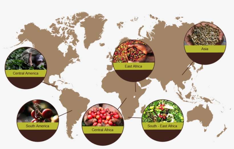 World Map, transparent png download