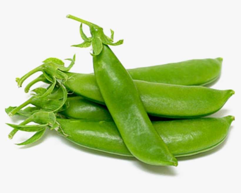 Pea Png Picture - Bibit Kacang Kapri, transparent png download