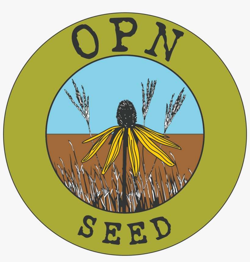Opn Seed, transparent png download