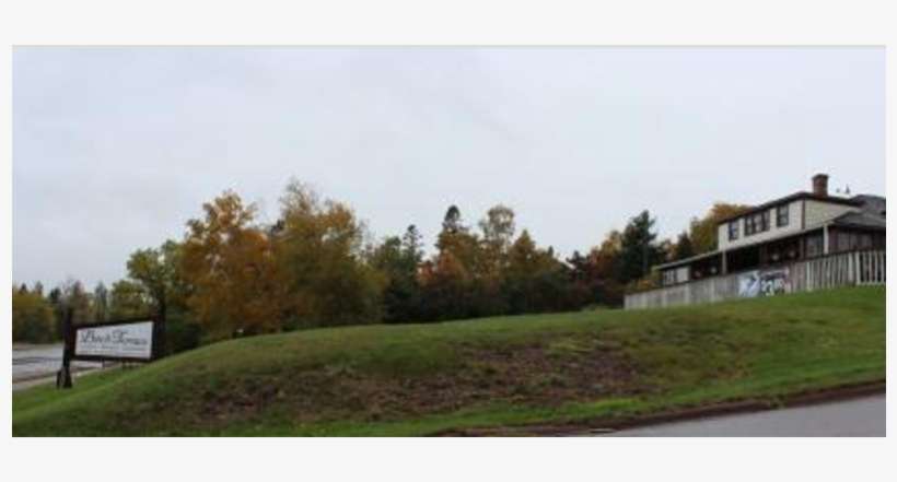 Local Restaurant Still Past Due On County Loan - Tree, transparent png download