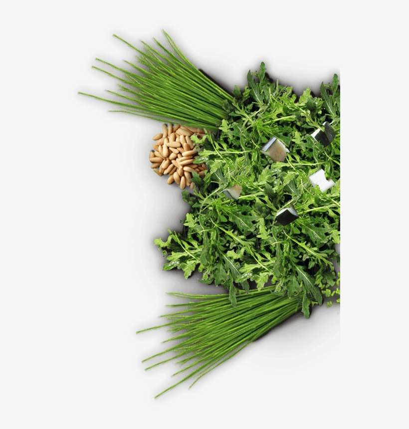 We Serve Fresh Quality Baked Potatoes - Coriander, transparent png download