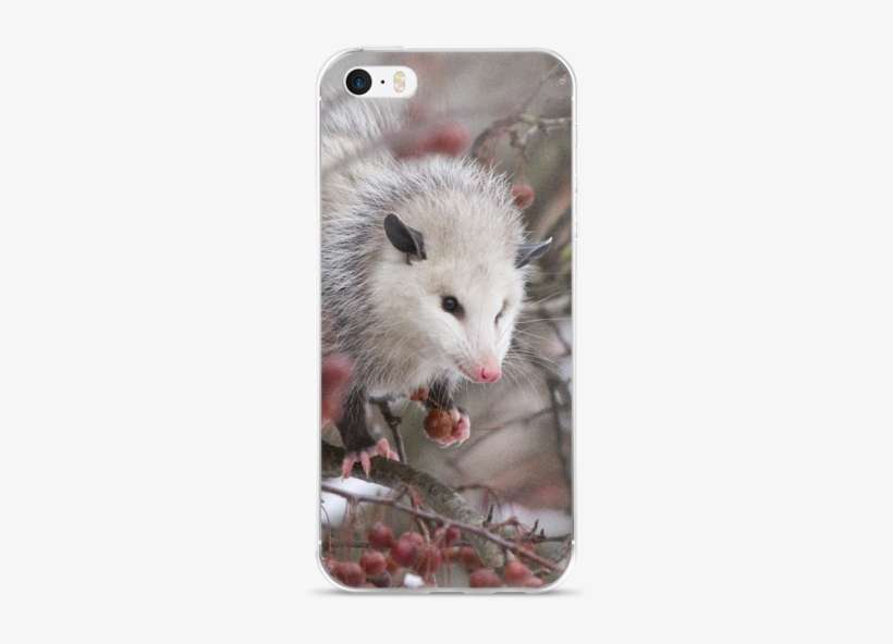 Snowpossum ☆ Iphone Case - Kangaroo Rat, transparent png download