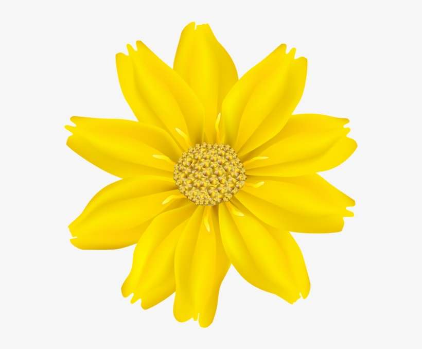 Art Images, Vanilla, Clip Art, Art Pictures, Illustrations - Png Yellow Flowers, transparent png download