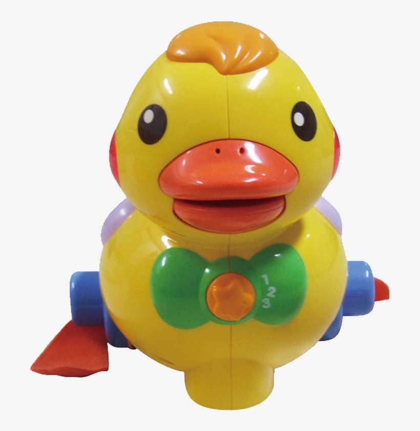 Duck, transparent png download