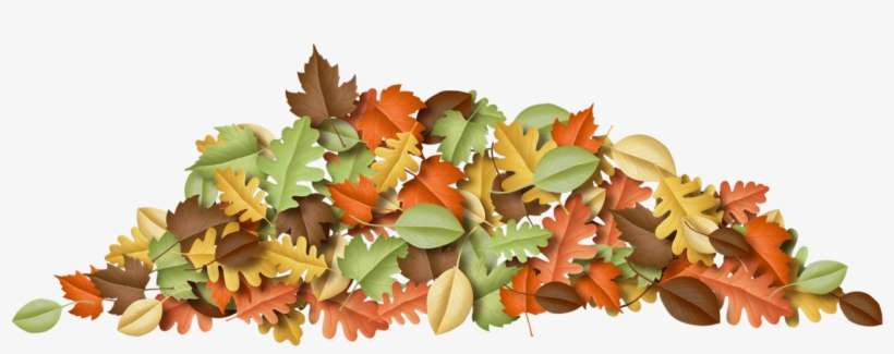Fall Leaves - Maple Leaf, transparent png download