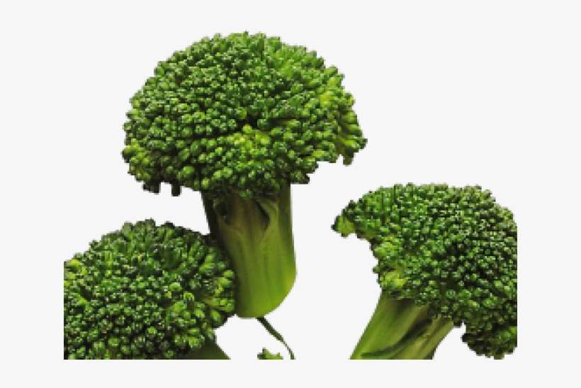Broccoli Png Transparent Images - Transparent Png Broccoli, transparent png download