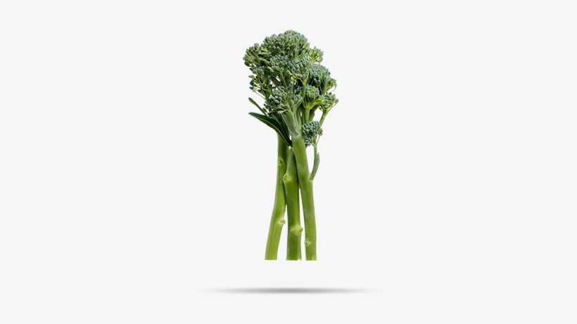 Tenderstem Broccoli - Broccoli, transparent png download