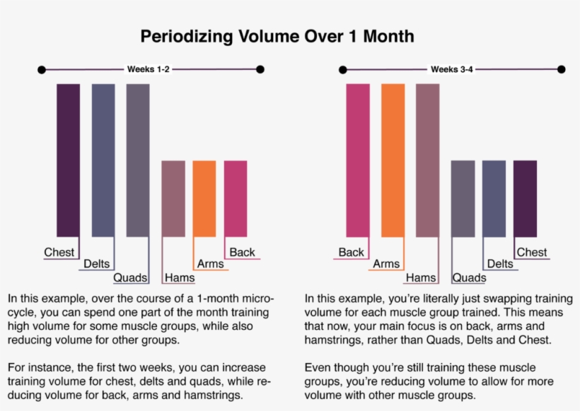 You Can Increase Workout Volume For Your Chest, Shoulders - Parallel, transparent png download