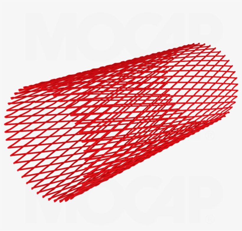 Protective Netting - Kings Dominion, transparent png download