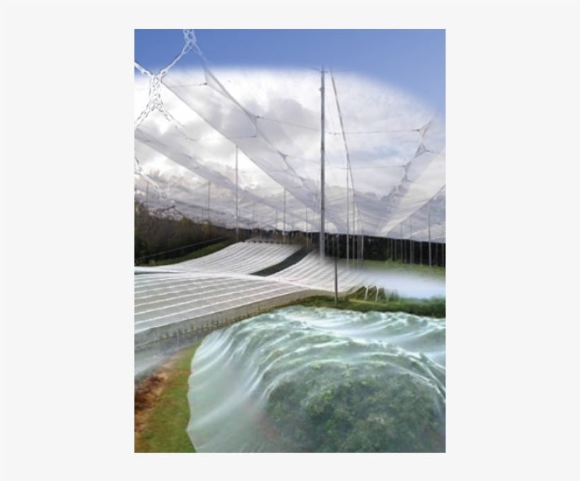 Bird Netting - Suspension Bridge, transparent png download