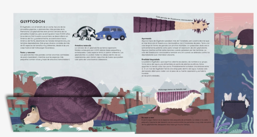 L'edat - Airplane, transparent png download