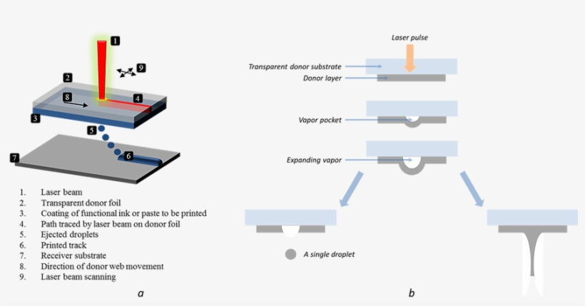 Diagram Of Laser Induced Forward Transfer Or Lift Printing - Diagram, transparent png download