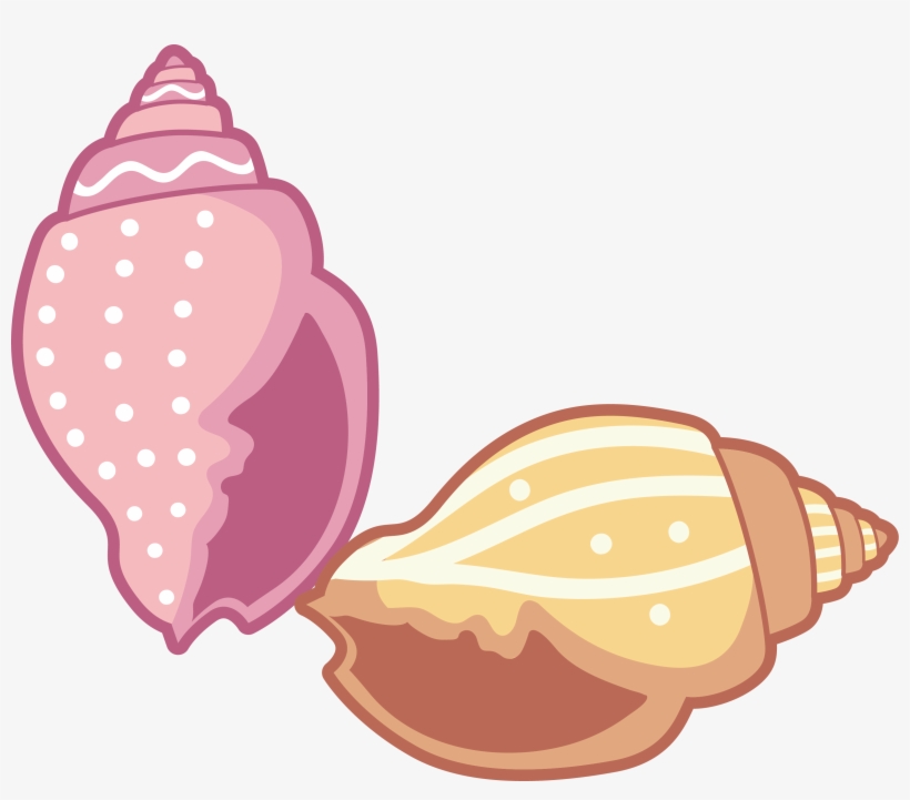 Conch Clip Art - Conch Clipart, transparent png download
