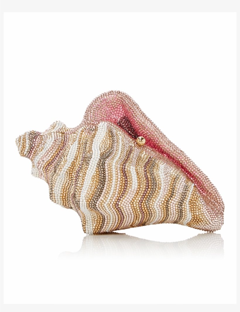 Image - Conch, transparent png download