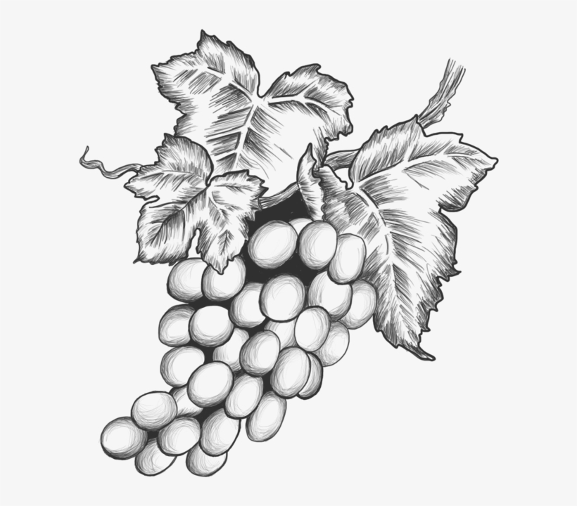 Raisins - Sultana, transparent png download
