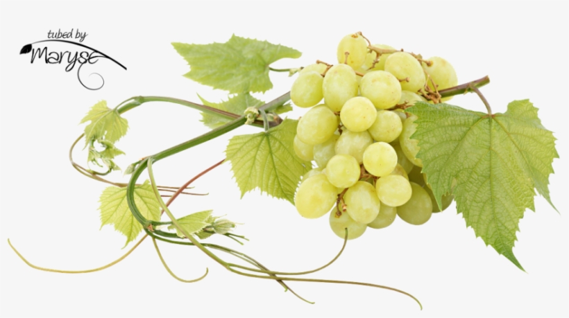 Mr Grappe De Raisins - Cocktail, transparent png download