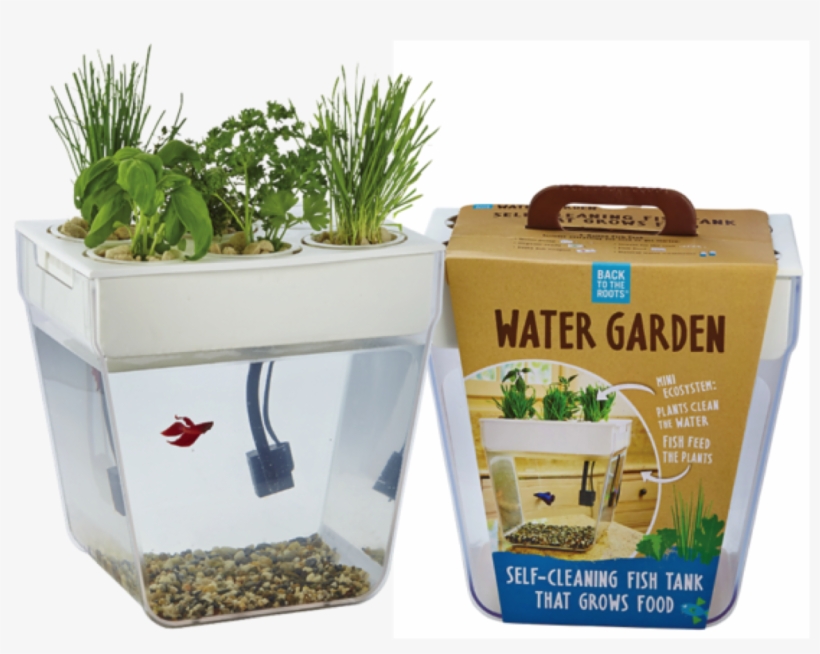 Water Garden Fish Tank, transparent png download
