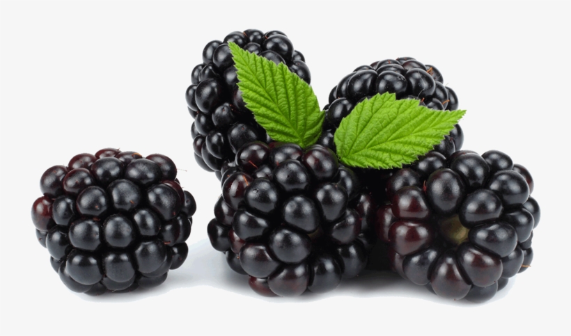 More - Blackberry, transparent png download