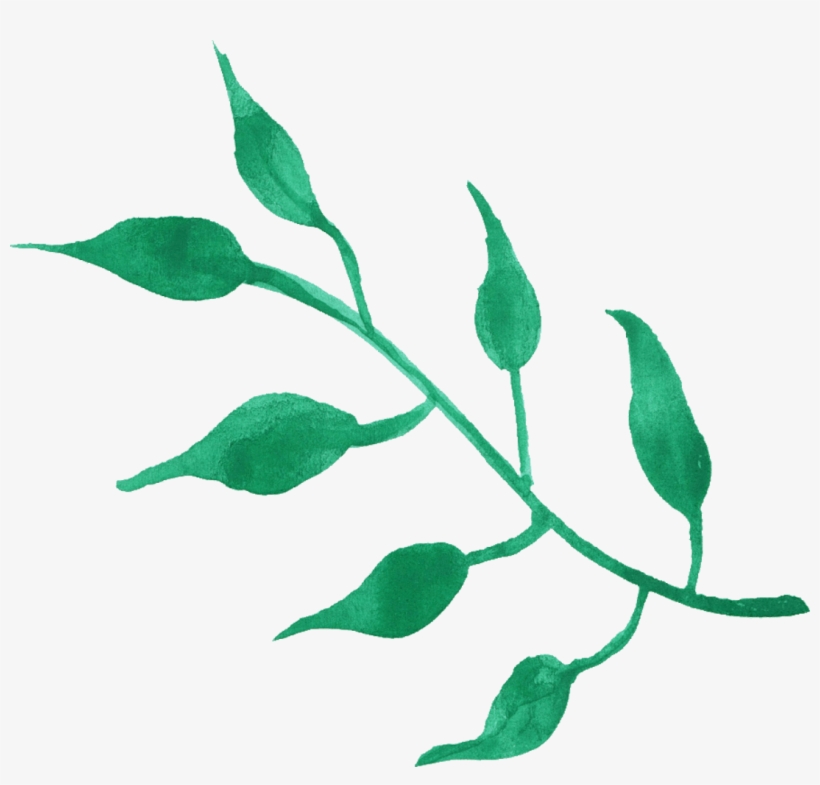 Free Green Leaf Watercolor Png- Free Download Png - Watercolor Leafs Line Png, transparent png download