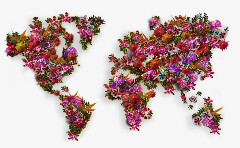 Contacts-bg - Moss World Map Art, transparent png download