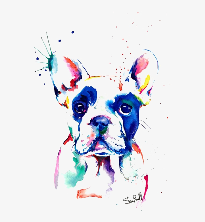 Bulldog Watercolor Painting Drawing French Free Hq - French Bulldog Watercolour, transparent png download