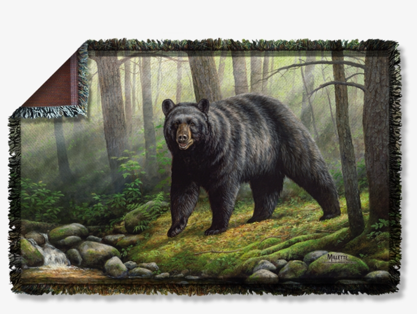 Bear, transparent png download