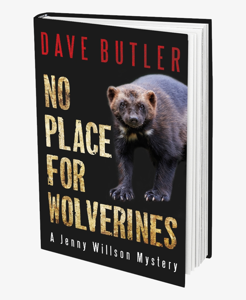 About No Place For Wolverines - Grizzly Bear, transparent png download