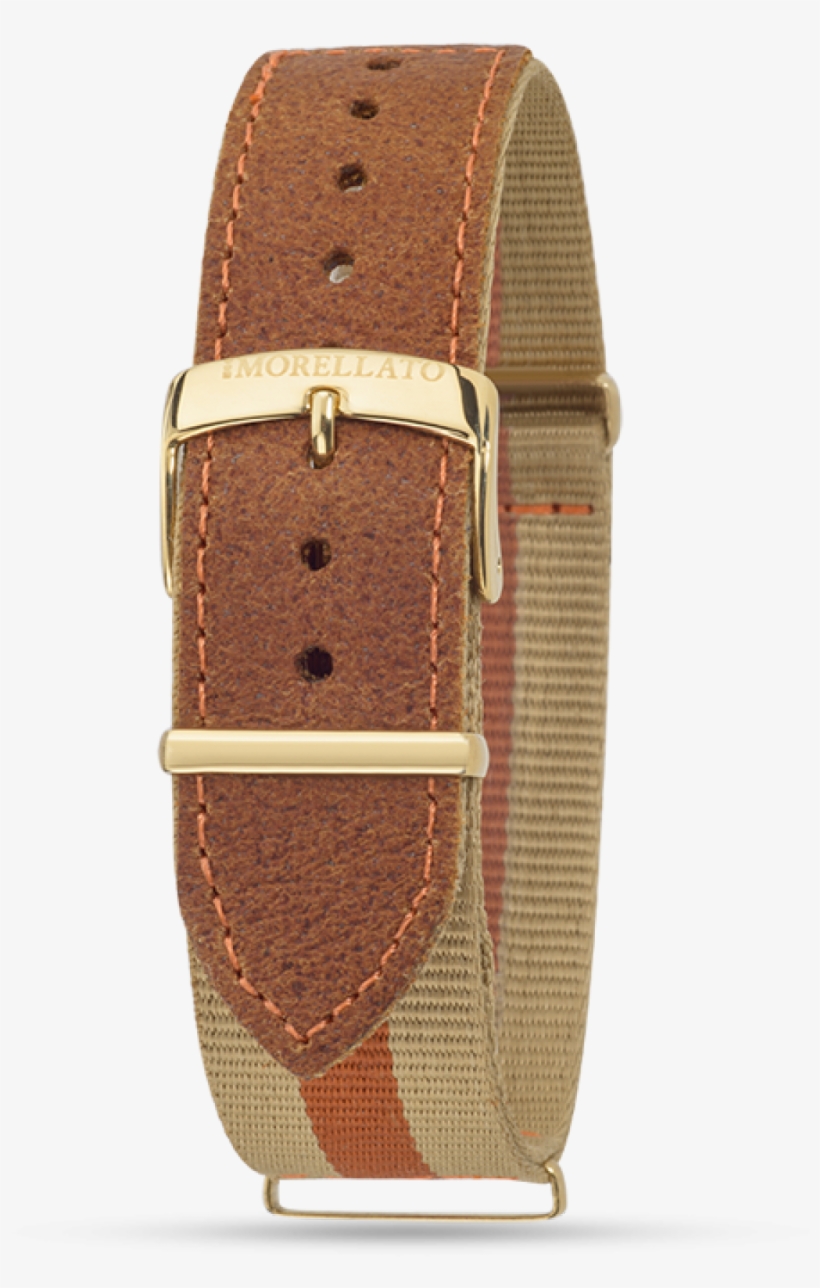 Morellato Watch Time Only, 3h Vela - Strap, transparent png download
