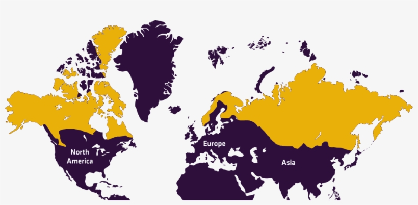 Distribution - North Korean Ministry Of Foreign Affairs, transparent png download