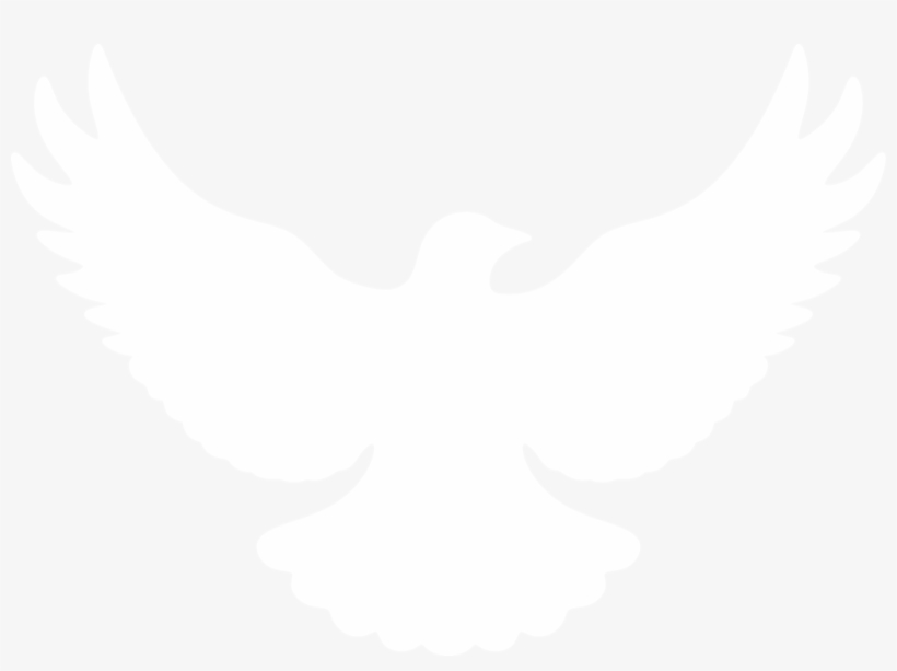 Dove Silhouette Png - Hawk, transparent png download