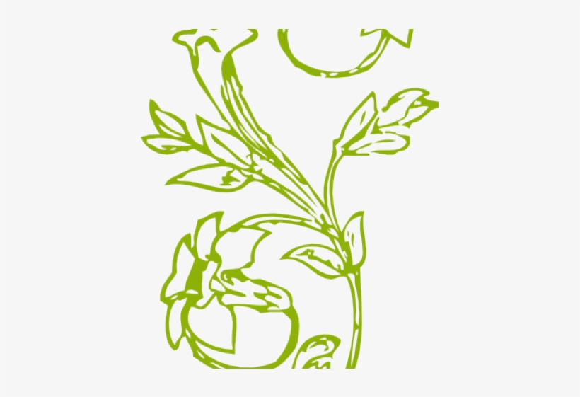 Drawn Vine Green Vine - Clip Art, transparent png download
