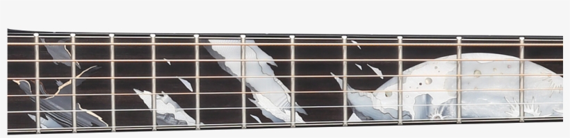 Edition Ltd2019 "moon" Pays Tribute To The 50th Anniversary - Shoe Organizer, transparent png download