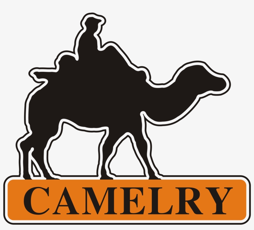 Picture Royalty Free Library Camel Vector Abstract - New Mexico, transparent png download