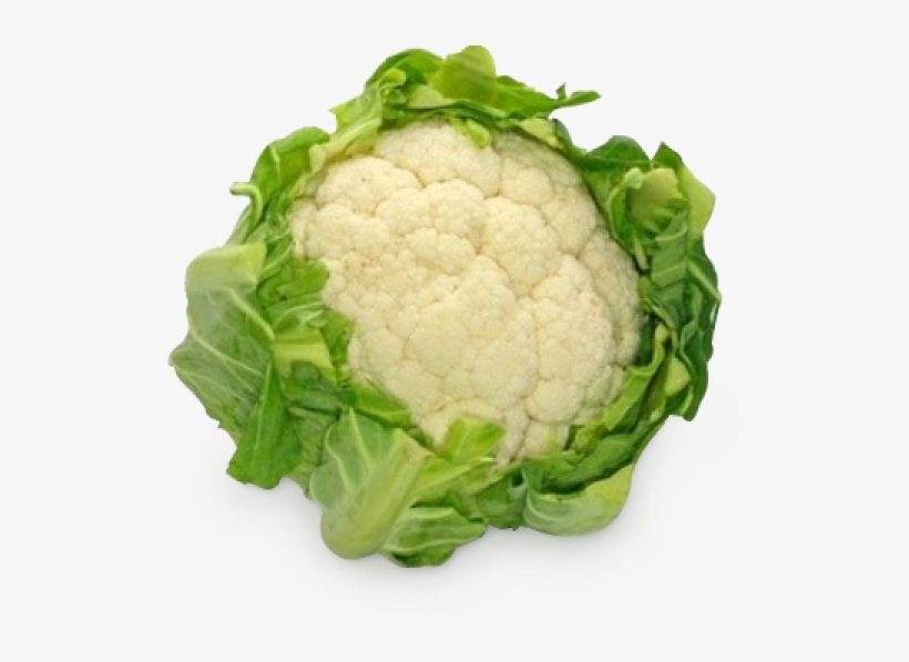 Cauliflower Png Free Image Download - Single Cauliflower, transparent png download