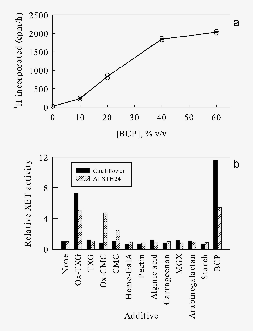 A, B Effect Of Boiled Cauliflower Preparation And Authentic - Diagram, transparent png download