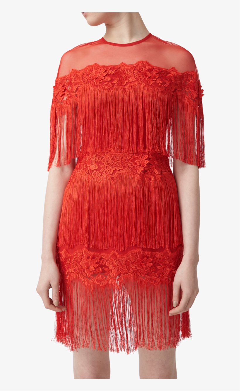 Aijek Olivia Tassel Lace Mini Dress - Gown, transparent png download