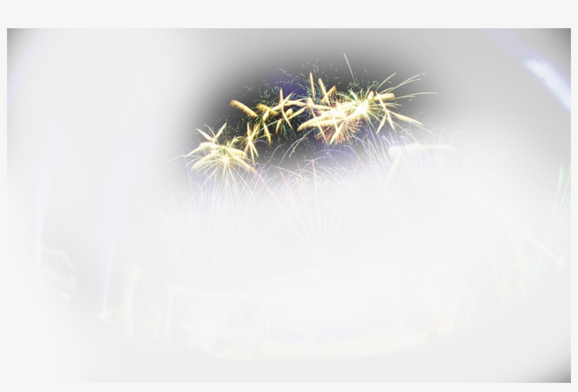 Go To Image - Macro Photography, transparent png download