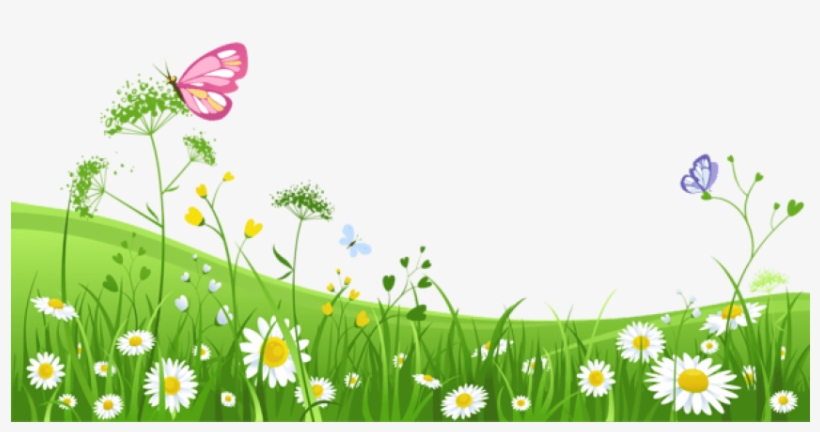 Free Png Download Grass With Butterfliespicture Png - Green Grass With Flower Background Png, transparent png download