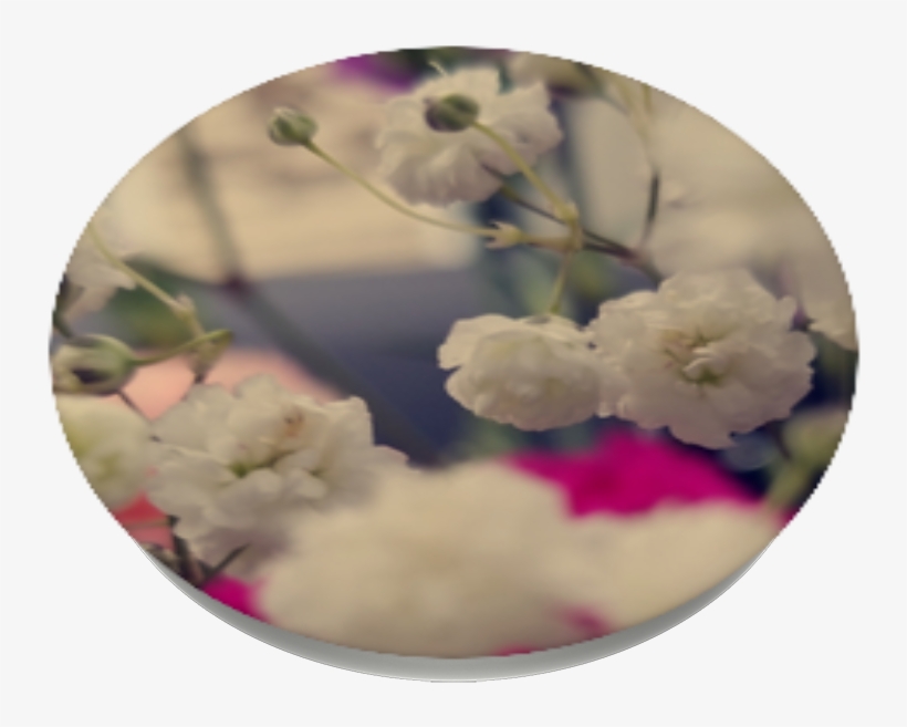 In A Field Of Flowers, - Hydrangea, transparent png download