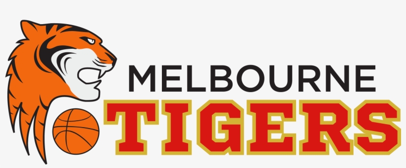 Melbourne Tigers Logo Rgb Lrg - Melbourne United, transparent png download