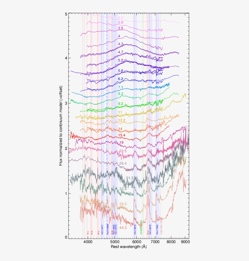 Sequence Showing A Subset Of Our Spectra After Division - Art, transparent png download