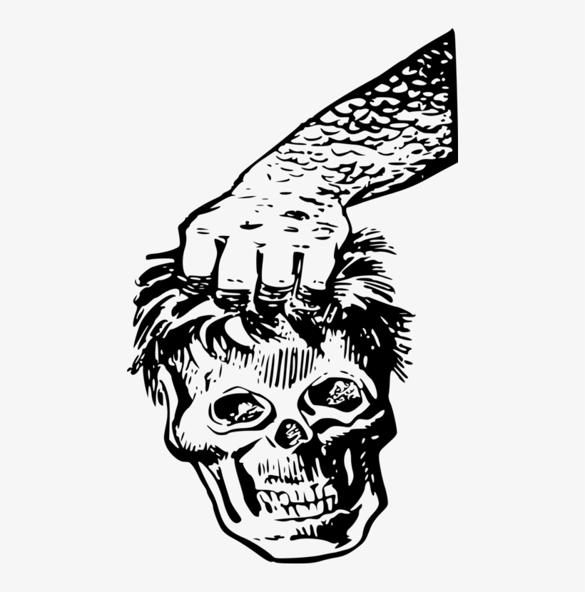 Human Skull Symbolism Human Head Face Human Skeleton - Skull, transparent png download