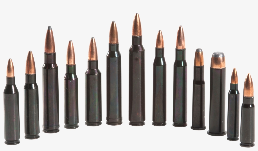 Traditions Atr223rem Rifle Training Cartridge - Training Cartridges, transparent png download