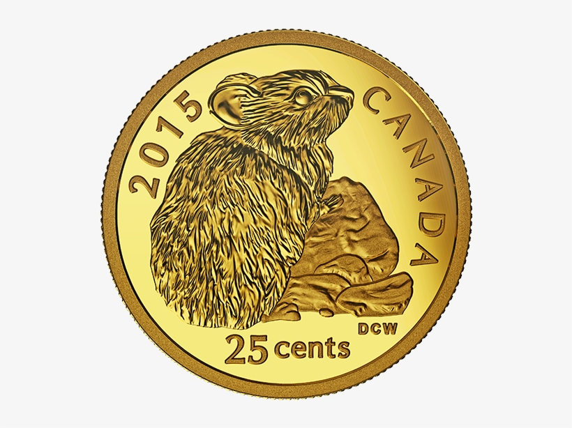 2015 25-cent - Coin, transparent png download