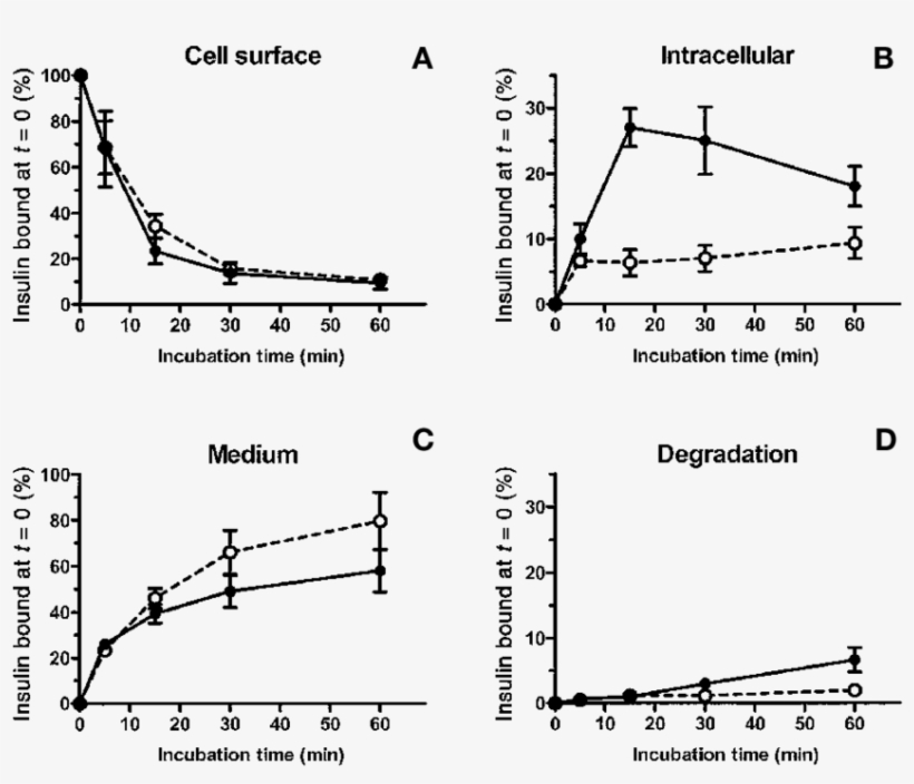 The Xo/hx Impairs [ 125 I] Insulin Endocytosis In Baec - Diagram, transparent png download