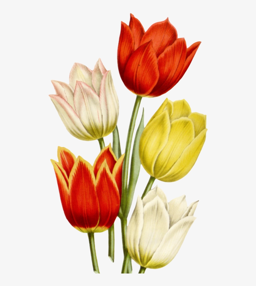 Mq Sticker - Painting, transparent png download