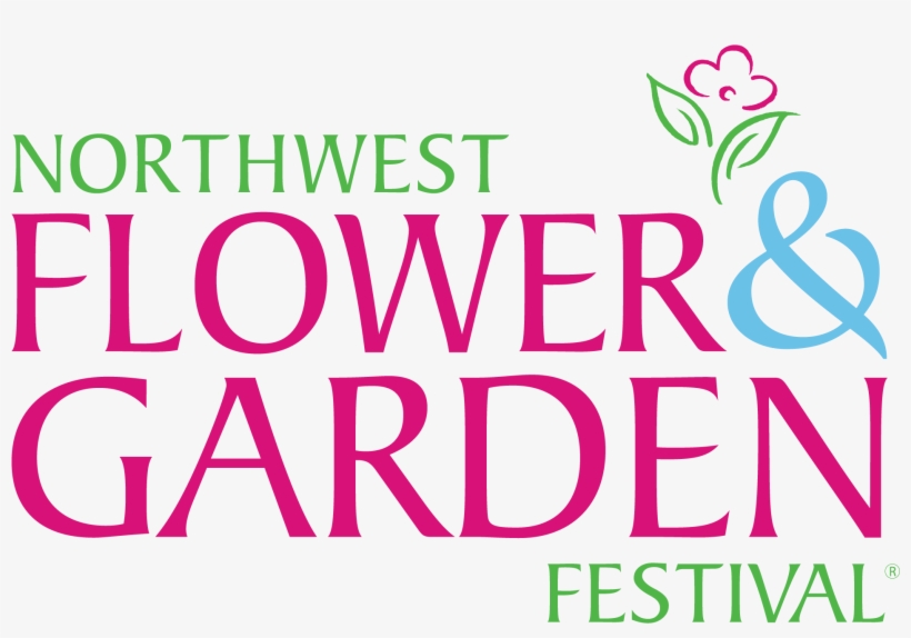 Verde & Co - Flower, transparent png download