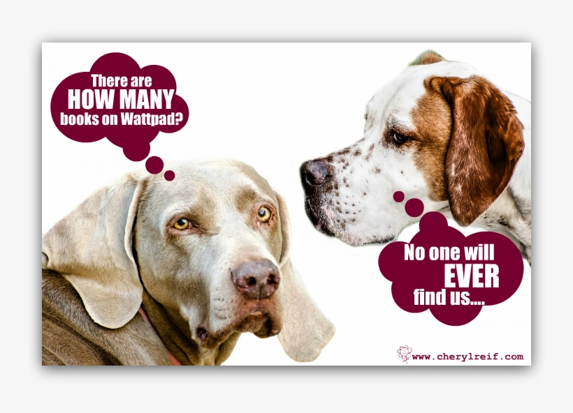 Although There's A Great Ratio Of Readers To Writers - Mysliwskie Psy, transparent png download