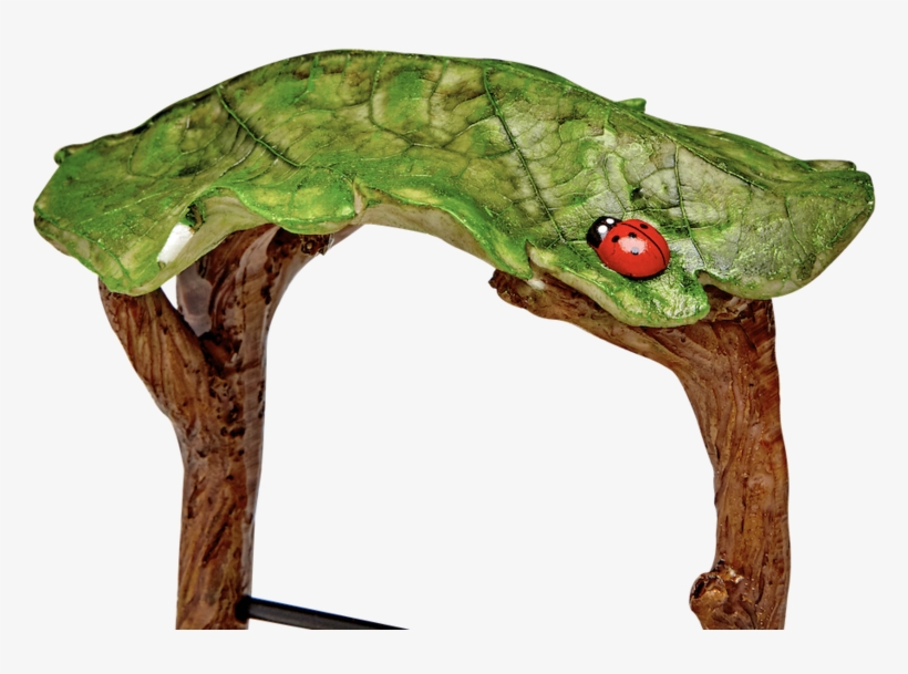 Fairy Wishing Well - Red-eyed Tree Frog, transparent png download