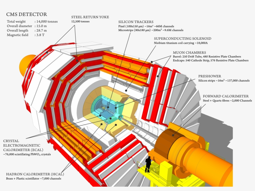 Cms 160312 02 - Main Component Of Cms Detector, transparent png download